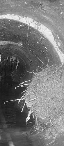 birmingham drain lining and  drain patch repair